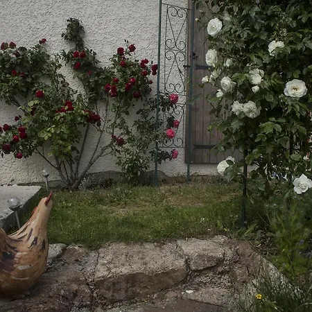 Bed & Breakfast D'hotes La Bichette Chassagny