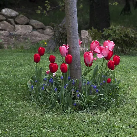 Bed and breakfast D'hotes La Bichette
